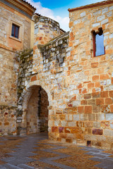 Zamora Obispo arch door near Cathedral Spain