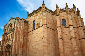 Zamora San Salvador cathedral in Spain