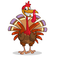 Cartoon turkey. Thanksgiving vector illustration isolated on white background