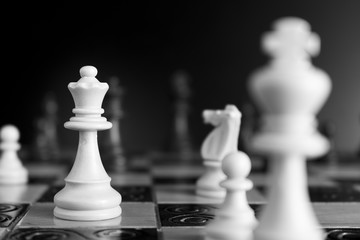 Scacchi fotografati su una scacchiera