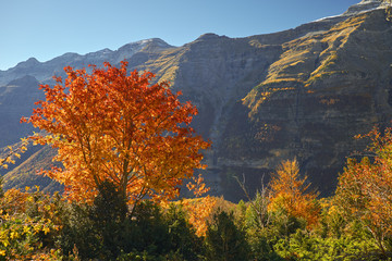 Otoño en Ordesa. Sobrarbe. Aragon.