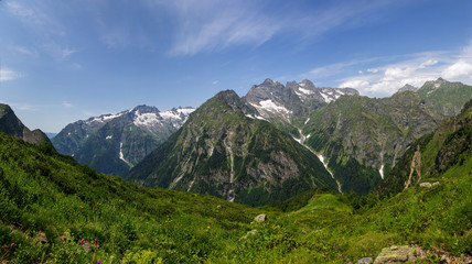 Fototapeta na wymiar Panorama of alpine meadow 
