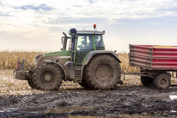 Tractor with Trailers in the Mud on the Harvested Field