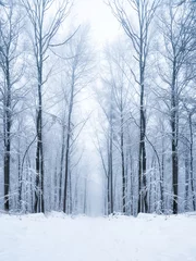 Foto auf Leinwand Verschneiter Wald im Winter © eyetronic