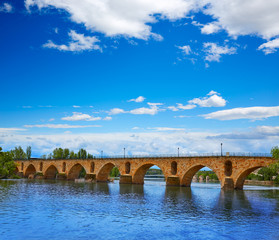Fototapeta na wymiar Zamora Puente de Piedra stone bridge on Duero