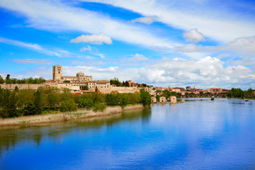 Fototapeta na wymiar Zamora skyline by Duero river of Spain