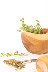 Fresh oregano in  wooden mortar with pestle on withe background.