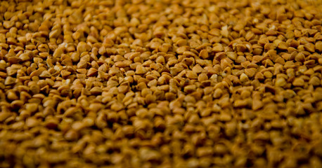 Background of the raw buckwheat. Vegan food