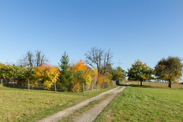 Obraz premium Herbst