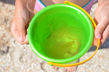 Медузы пойманные в ведре в детских руках