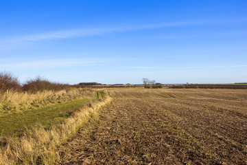Fototapeta na wymiar footpath and harvested field