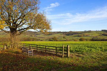 countryside scenery