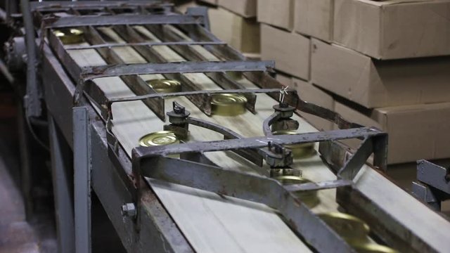 Conveyor belt in a fish canning factory in action
