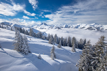 Fototapeta na wymiar Trees covered by fresh snow in Kitzbühel ski resort, Tyrol, Austria