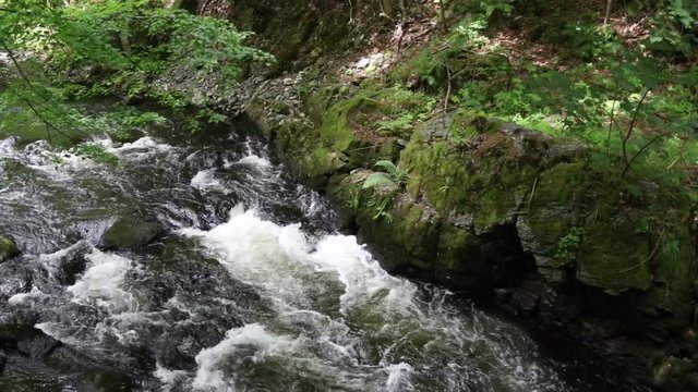 Rei&szlig;ende Flusspassage, Bodekessel; Bodetal, Harz, Sommer