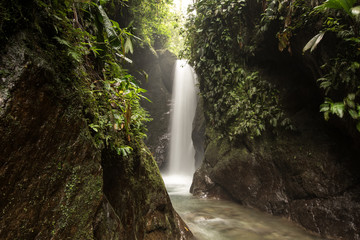 Fototapeta premium Wasserfall mit fließenden Bach in satt grüner Vegetation des Regenwalds. Mindo, Ecuador