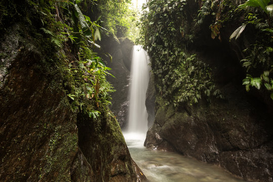 Wasserfall mit flie&szlig;enden Bach in satt gr&uuml;ner Vegetation des Regenwalds. Mindo, Ecuador
