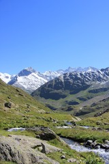 Am Gletscher