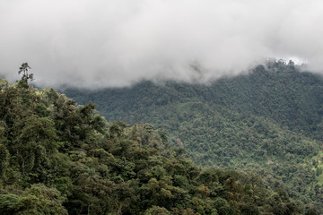 Mindo in the tropical rainforest of Ecuador