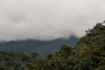 Mindo in the tropical rainforest of Ecuador