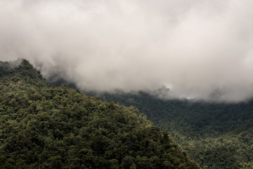 Mindo in the tropical rainforest of Ecuador