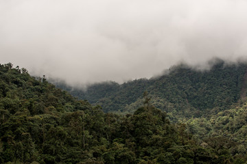 Mindo in the tropical rainforest of Ecuador