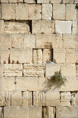 Western Wall in Jerusalem. Israel