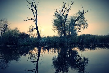 Fototapeta na wymiar Natur am Flussdelta