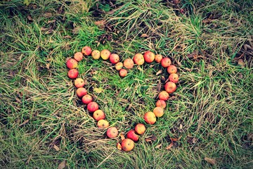 Äpfel zur Erntezeit - 127447154