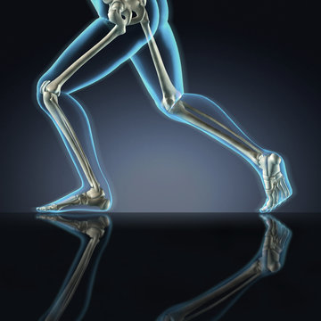 X-ray Running Legs