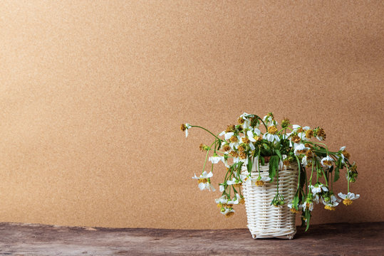 white flowers in basket on wooden table with brown paper background, vintage tone.