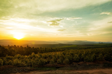 Fototapeta premium Sunset Over Valley in Mpumalanga South Africa