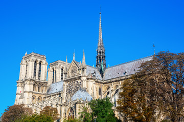 Fototapeta na wymiar world famous cathedral Notre Dame de Paris in Paris, France