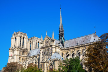 Fototapeta na wymiar world famous cathedral Notre Dame de Paris in Paris, France