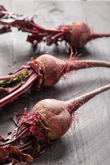 Freshly harvested organic beets three in a row