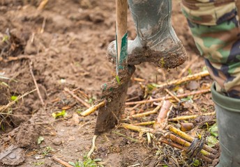 Man digging with spade in garden