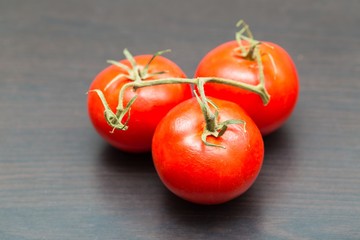 Twig of old tomatoes lying on dark table
