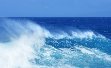 Blue Large Powerful Ocean Wave Panoramic view