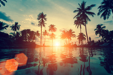 Coucher de soleil fantastique sur une plage tropicale avec des silhouettes de palmiers contre le ciel.