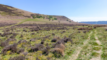 Levisham Moor, North Yorkshire, UK