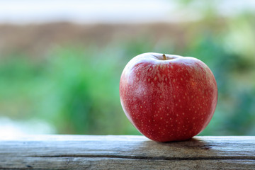 one apple on wood with nature background