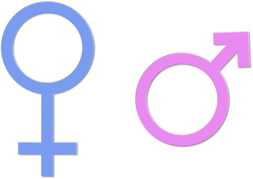 Gender Symbols -Vector