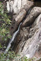 Fototapeta na wymiar Crows Nest Falls and creek in Crows Nest Falls National Park, Oxenford.
