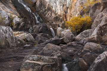 Crows Nest Falls and creek in Crows Nest Falls National Park, Oxenford.