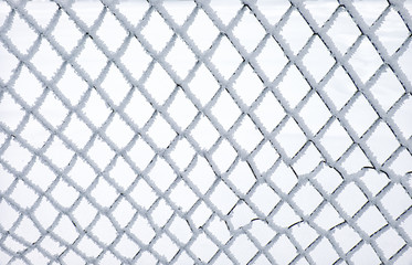 Fototapeta premium Metal net covered by hoarfrost