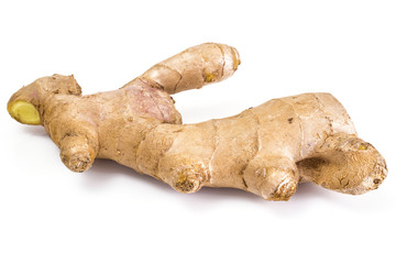 Fleshy fragrant ginger root
