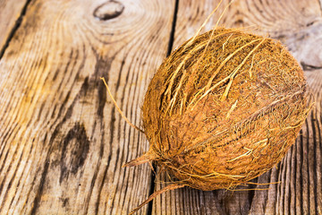 Big brown ripe coconut