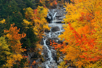 Fototapeta na wymiar Colorful Autumn creek