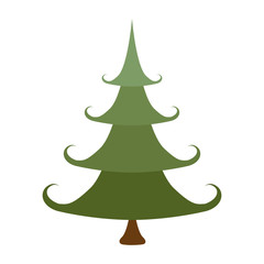 pine tree icon image vector illustration design 