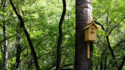 the birdhouse on the tree
